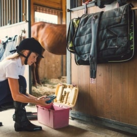 Equestrian